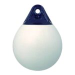 Bokobran beli sa teget ušicom - Tehnonautika Zemun